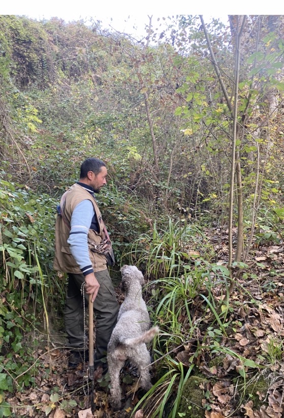 Boschi di Rotonda, nel Parco del Pollino durante la ricerca del tartufo